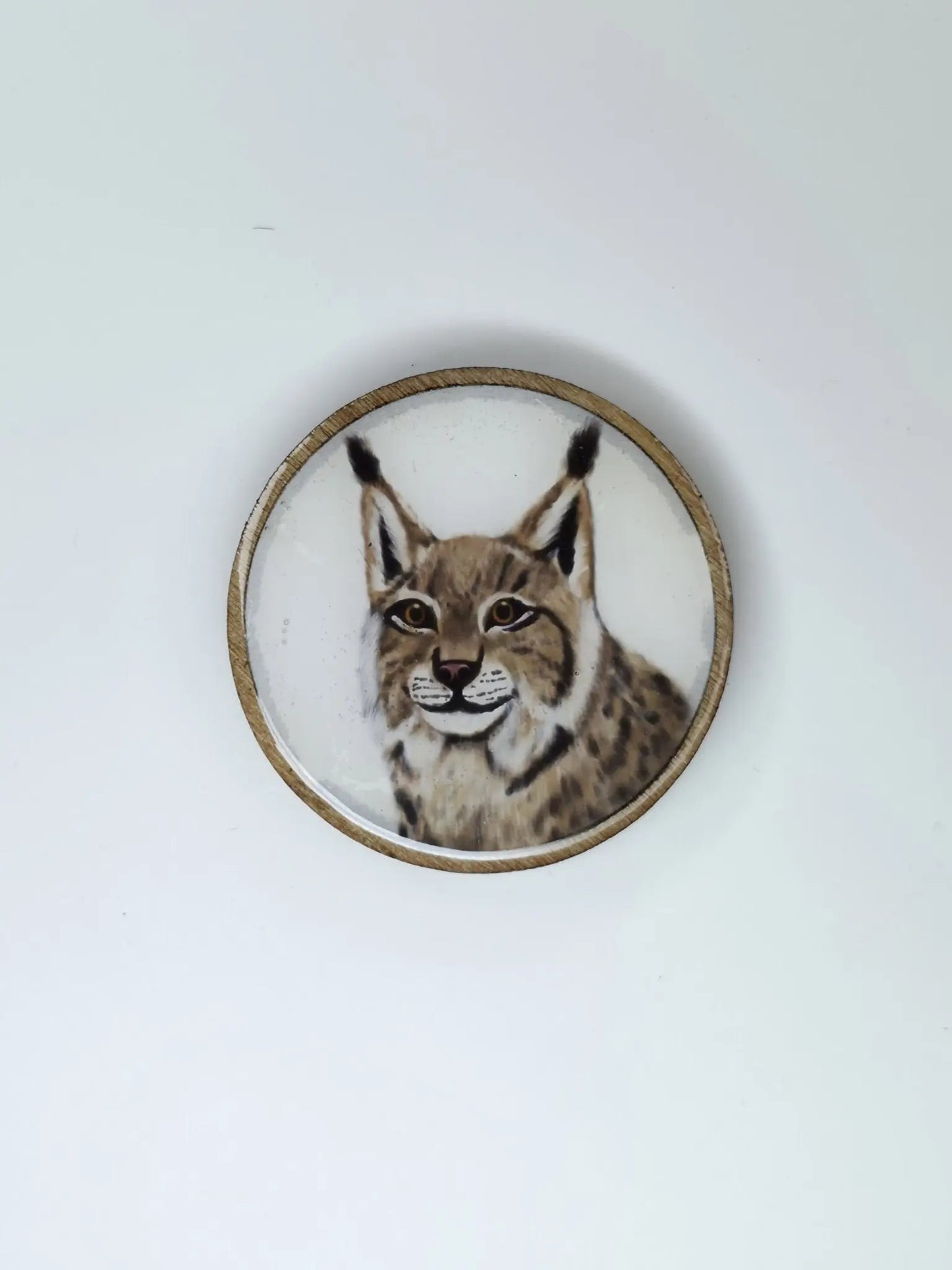 Valkoinen Ilves-magneetti koivua ja epoksia