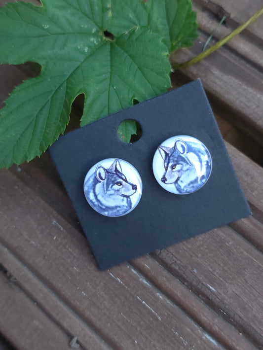 Susi-nappikorvakorut (epoksi) Vioris - käsintehdyt korut ja tuotteet