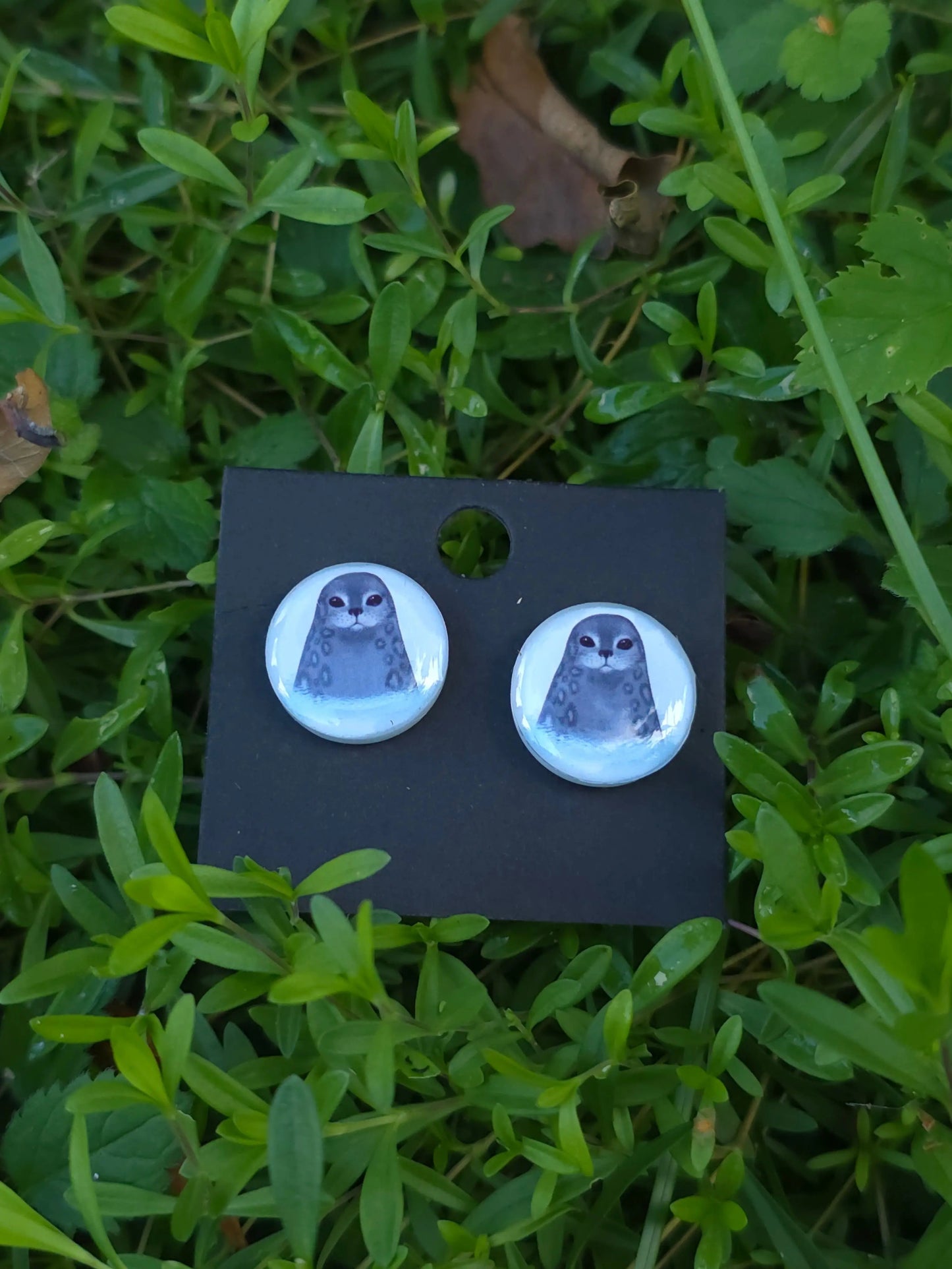 Saimaannorppa-nappikorvakorut (epoksi) Vioris - käsintehdyt korut ja tuotteet