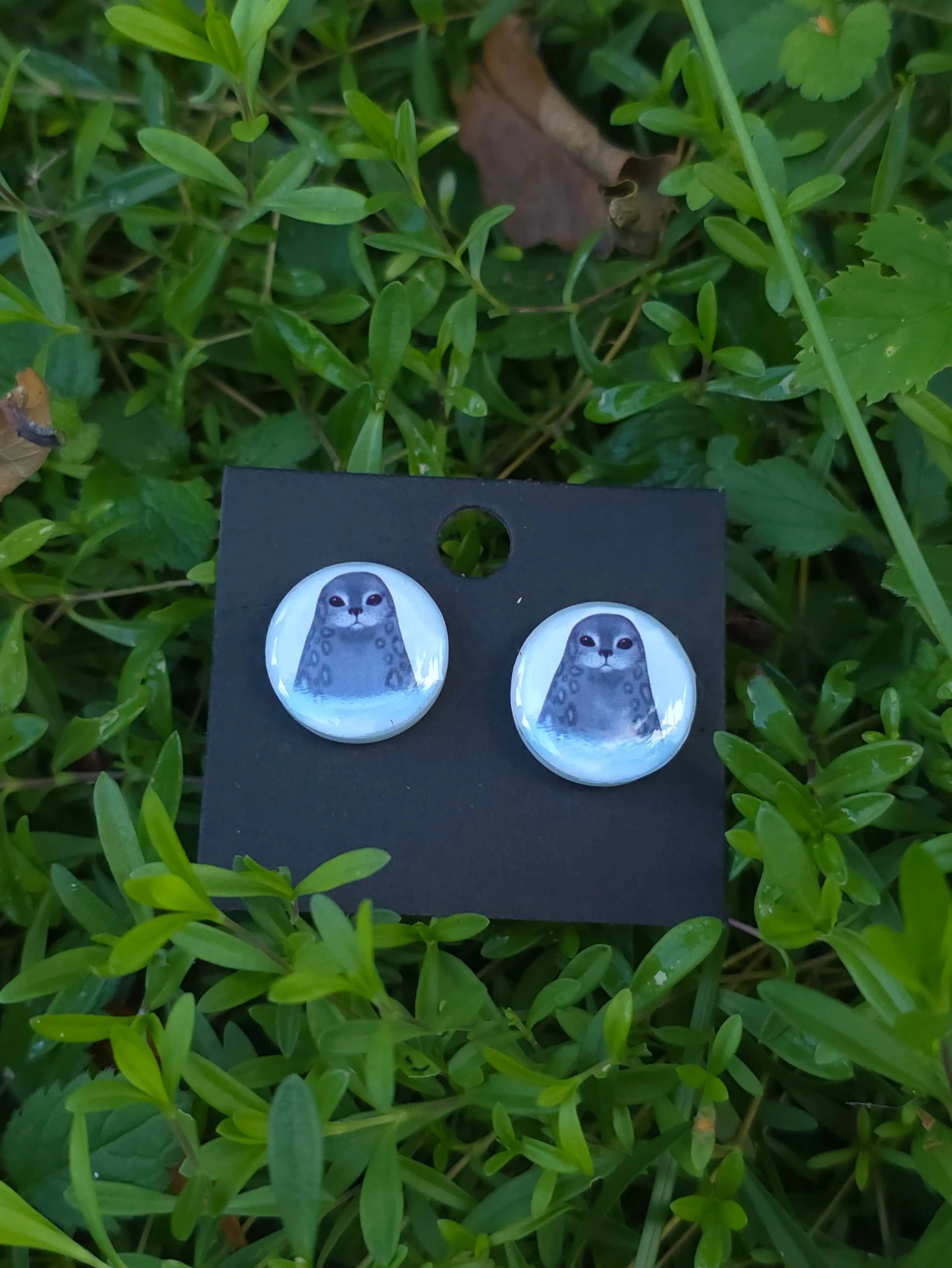 Saimaannorppa-nappikorvakorut (epoksi) Vioris - käsintehdyt korut ja tuotteet