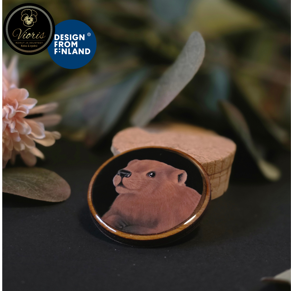 Magneetti - Majava