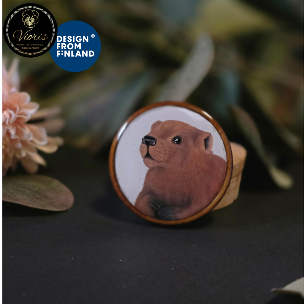Magneetti - Majava
